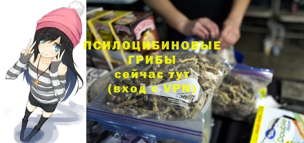 дмт Горно-Алтайск